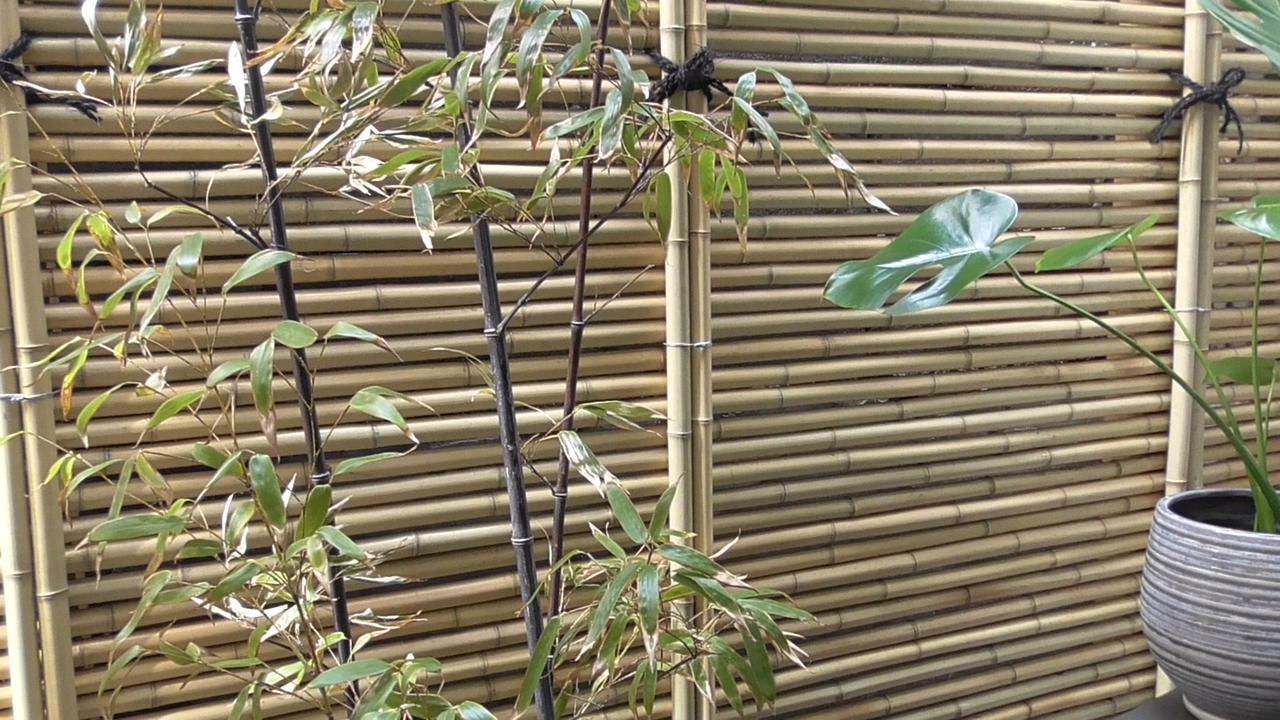 הוילה קנזאווה Daimaru-Un מראה חיצוני תמונה